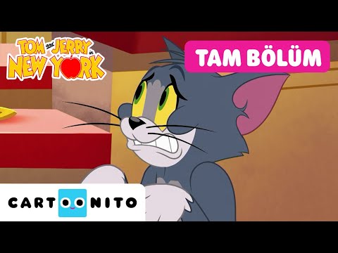 TOM VE JERRY NEW YORK'TA | Çok Fazla Maymun Sorunu | TAM BÖLÜM | @CartoonitoTurkiye