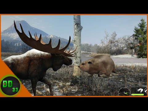 We Accidently Found Our BIGGEST MOOSE On Alberta! Call Of The Wild