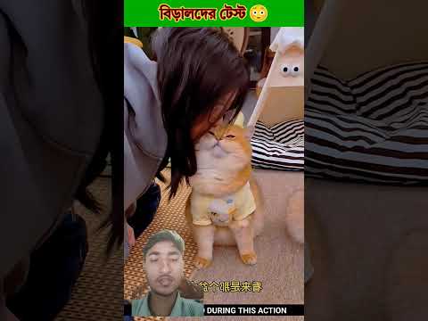 The cat test๐ณ
