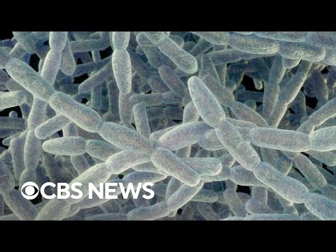 YouTube video thumbnail: What to Know About Legionnaires' Disease Breakouts in New York, Michigan