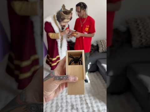 Mystery Spider Prank 🕷️