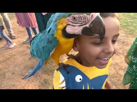 നമ്മുടെ ഒരു saturday vlog #trending #viral #trending #vlog #family #zoo