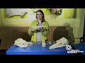 Animal Behavior and Physiology