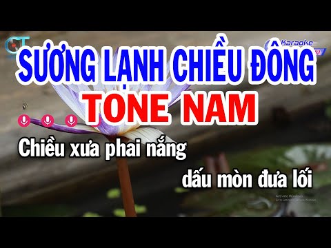 Karaoke Sương Lạnh Chiều Đông Tone Nam ( Dm ) Nhạc Sống Mới | Karaoke Đồng Sen