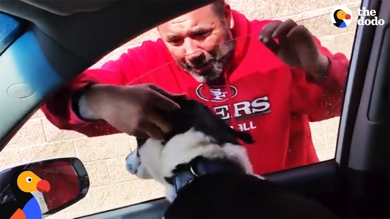 Man LOSES IT After Reunited With Lost Dog