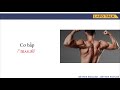 Concepts from Video Analysis