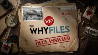 The Why Files Game: Declassified