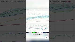 Traders: Follow The Market Tide or Get Left BEHIND!