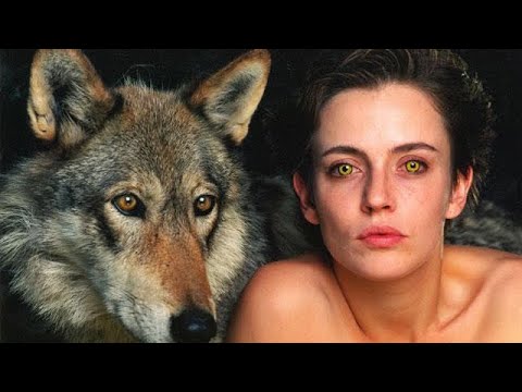 Out Come The Wolves 2024 Full Movie Explained in Hindi | Latest Movies Explained in Hindi 2024