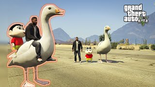 GTA5 Pedda Pakshi City lo Tirugutundi#gta #gaming #shortvideo #funny