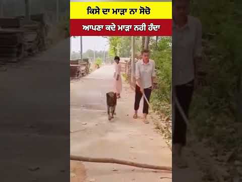 ਹਮੇਸ਼ਾ ਚੰਗੇ ਕਰਮ ਕਰੋ #shost #shorts #short #waheguru