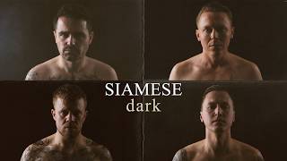 Siamese - dark (Official Visualizer)