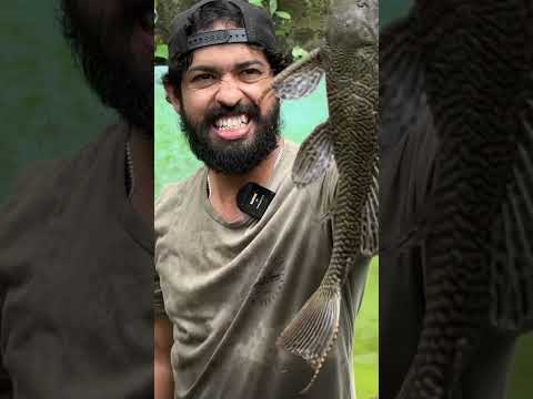 เดเดคเดฟเดจเต เดชเตเดดเดฏเดฟเตฝ เดเดเดฐเตเดคเต!!!โ #fishing
