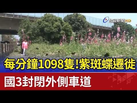 每分鐘1098隻！紫斑蝶遷徙 國3封閉外側車道 - YouTube