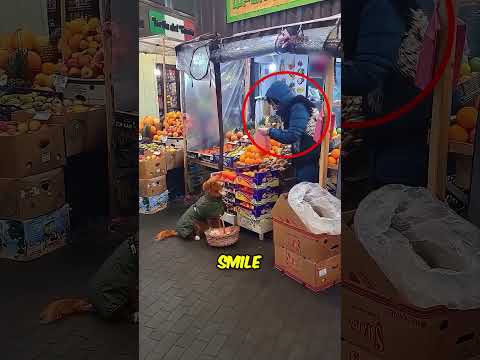 Helpfull Dog ๐