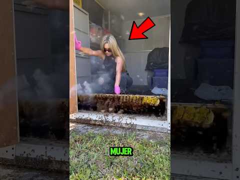 Quitando colmenas de abejas del suelo