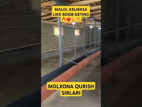Molxona qurish sirlari. Malol kelmasa like bosib ketamiz. Kanalga obuna bo‘ling #molxona