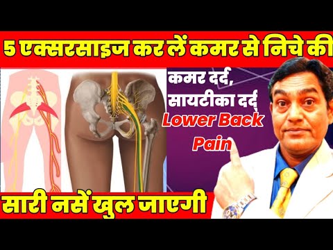 5 एक्सरसाइज कर लें  कमर दर्द सायटीका दर्द जड़ से ख़त्म हो जायेगा | Lower Back Pain exercises sciatica