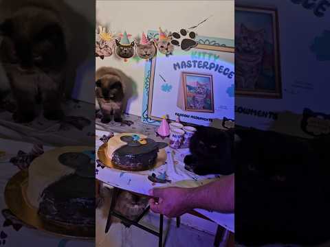 decoré un pastel de el Super 🎂✨️ #cat #CatBirthday #gatos