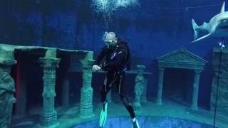 Dive 4 LIVE Siegburg Juni 2016
