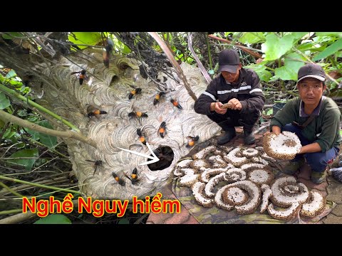NGHỀ NGUY HIỂM ! Giúp Bà Con Kiếm Thêm Thu Nhập