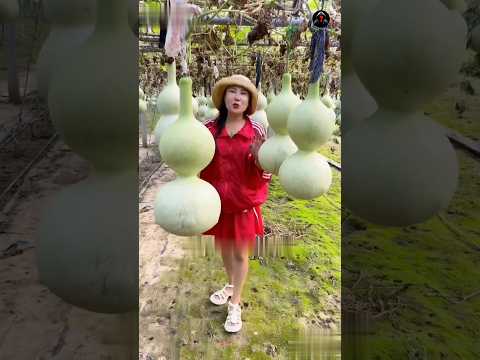 Art with gourds