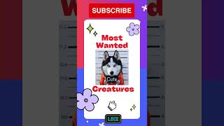 Top 5 Husky Celebrities 🐶