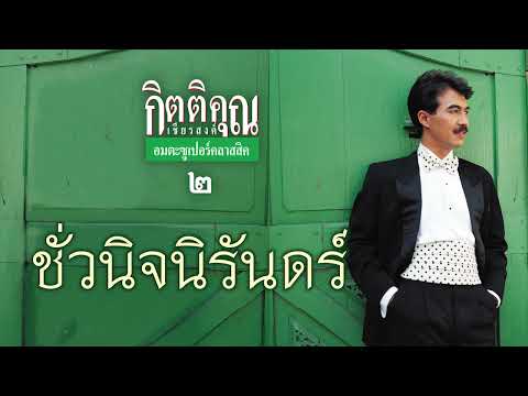 ชั่วนิจนิรันดร์ - กุ้ง กิตติคุณ เชียรสงค์ [ Official Audio ]