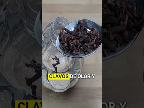Mezcla Vinagre con Clavos y No verás más mosquitos, moscas o cucarachas