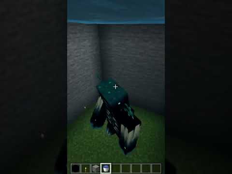 ESTO PASA SI SUMERGES A UN WARDEN EN EL AGUA POR 24 HORAS EN MINECRAFT! 😧 #shorts