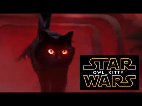 Star Wars - Starring my cat OwlKitty