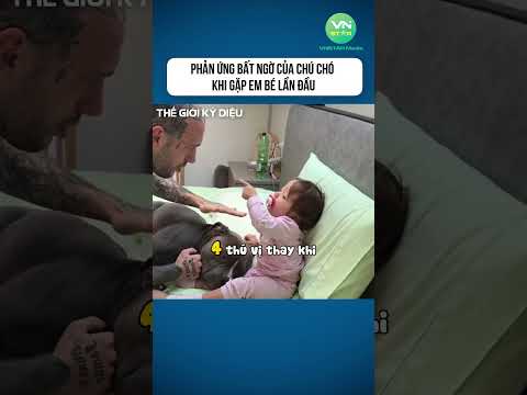Phản ứng bất ngờ của chú chó khi gặp em bé lần đầu #shorts #khamphathegioikydieu