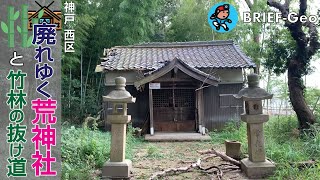 【BRIEF#90】廃れゆく荒神社と竹林の抜け道｜神戸 西区