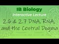 Exploring DNA, RNA, and the Central Dogma