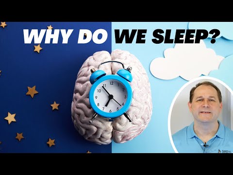 Why Does the Human Body NEED Sleep to Live?