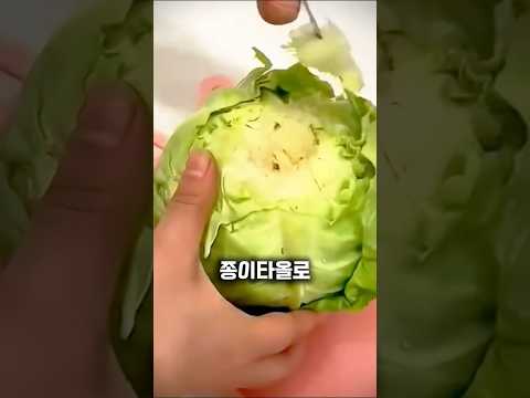 안보면 손해 보는 주방꿀팁, 양배추는 이렇게 보관하세요