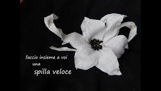Faccio insieme a voi una veloce spilla