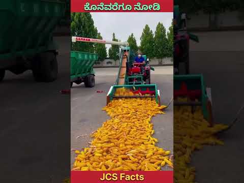 Super Machine That Separates Corn in Seconds! 🚜⚡#CornMachine #ModernFarming #factsinkannada #shorts