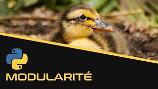Modularité | Python - EP12