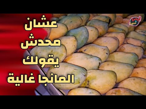 لحظة هجوم المانجا 🥭 واسعار بيعها بالمزادات في مصر 🇪🇬