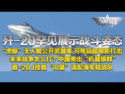 罕见画面！歼-20以战斗姿态霸气现身！“虎鲸”无人舰全球首秀 大方展示武器库 可实现超视距打击！中国亮出“机器狼群”颠覆战场格局！直-20J完美适配海军陆战队！「砺剑」20241114 | 军迷天下