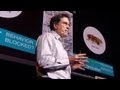 Understanding Mental Illness through Fruit Fly Research