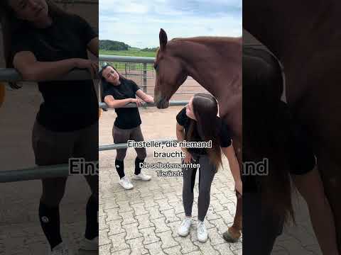 Gibts an jedem Stall, oder? 😂​ #royalhorsemen #equestrian #horses