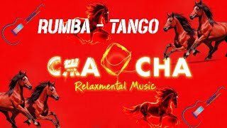 Very Best Relaxing Cha Cha Cha / Tango / Mambo / Samba | Beautiful Instrumental Latin Music