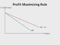 Monopoly Concepts and Characteristics