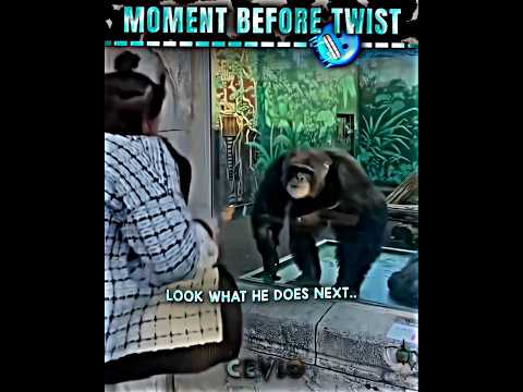 Loop it up โ ๏ธ