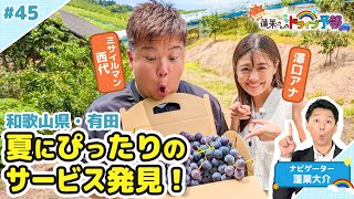 【蓬莱さんのドライブ予報＃４５】和歌山県有田で巨峰狩り！