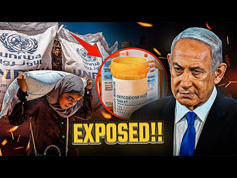 Palestinians Trusted the Aid… Then Collapsed