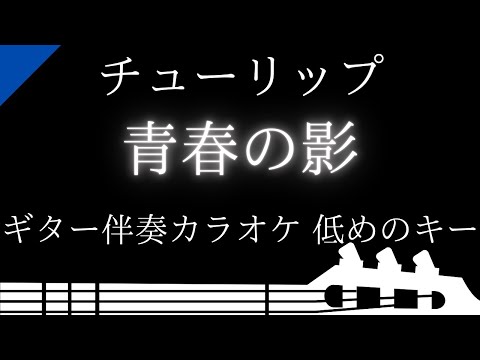 【ギター伴奏カラオケ】青春の影 / チューリップ【低めのキー】