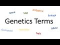 Genetics Concepts and Terminology